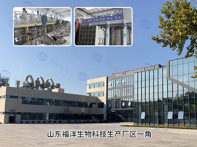 山東福洋生物科技生產(chǎn)廠區(qū)一角 山東福洋生物科技生產(chǎn)廠區(qū)一角